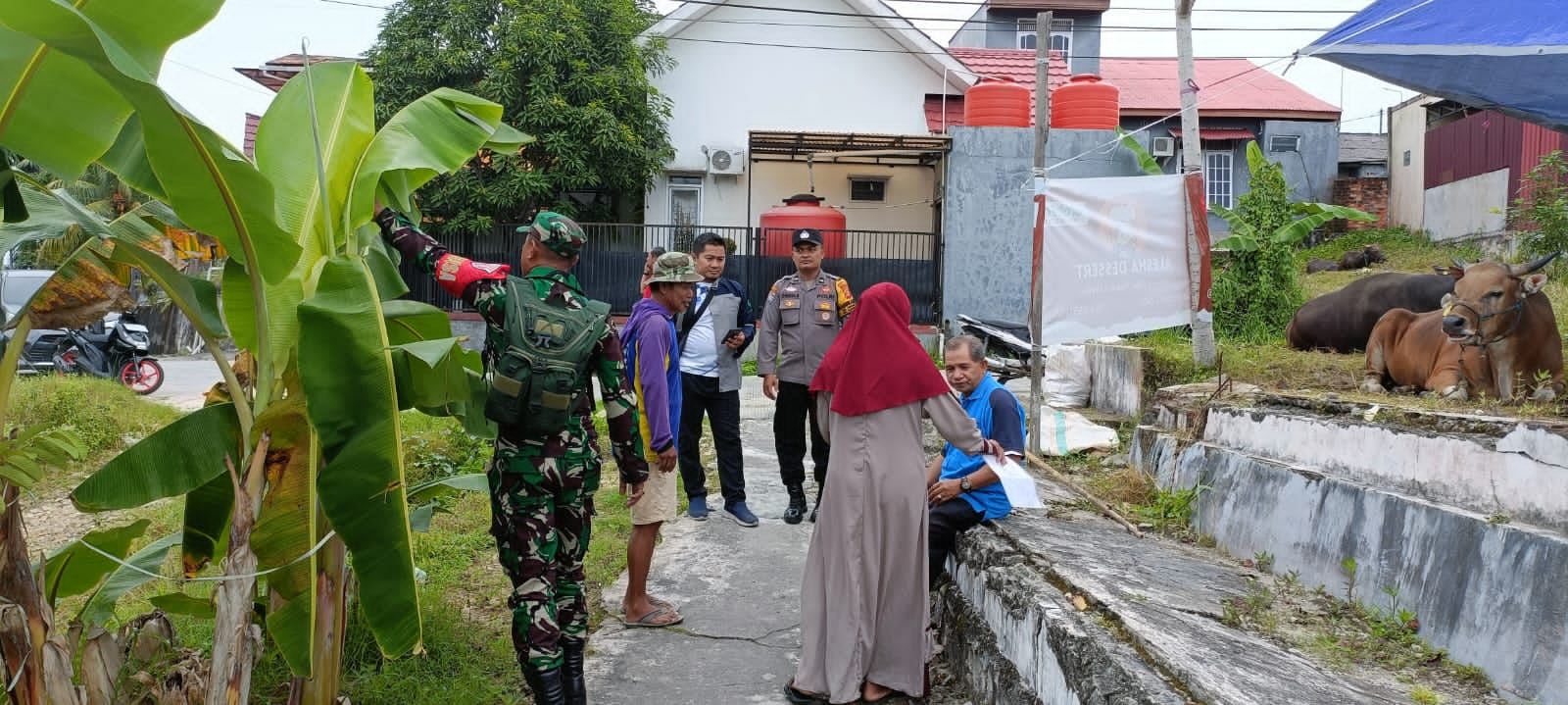 Monitoring Penjualan Hewan Kurban